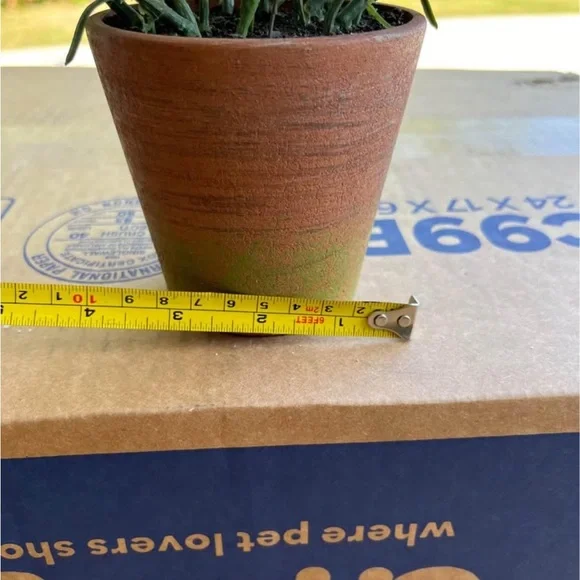 ARTIFICIAL ROSEMARY PLANT IN RUSTIC POT - Picture 6 of 6